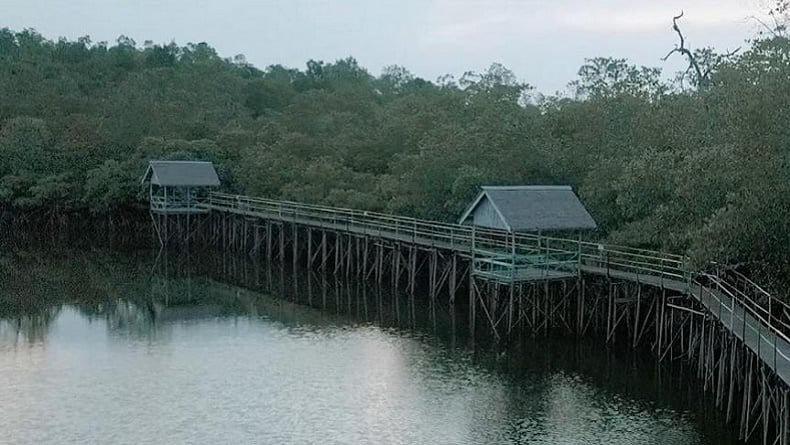 title 8 Destinasi Wisata Alam Dekat IKN Nusantara, Ada Hutan Mangrove hingga Goa Tapak Raja 8 Destinasi Wisata Alam Dekat IKN Nusantara, Ada Hutan Mangrove hingga Goa Tapak Raja