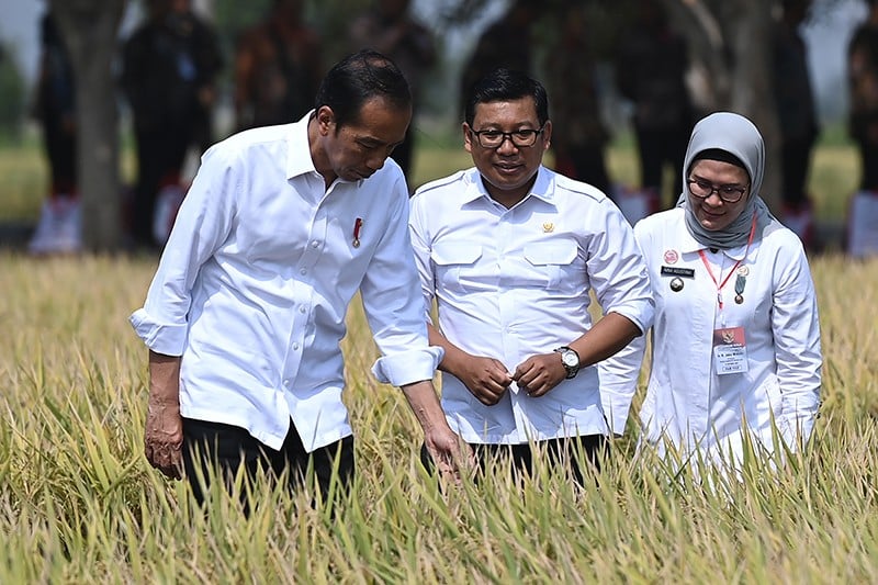 Presiden Jokowi Tinjau Petani Panen Padi di Indramayu - Bagian 2