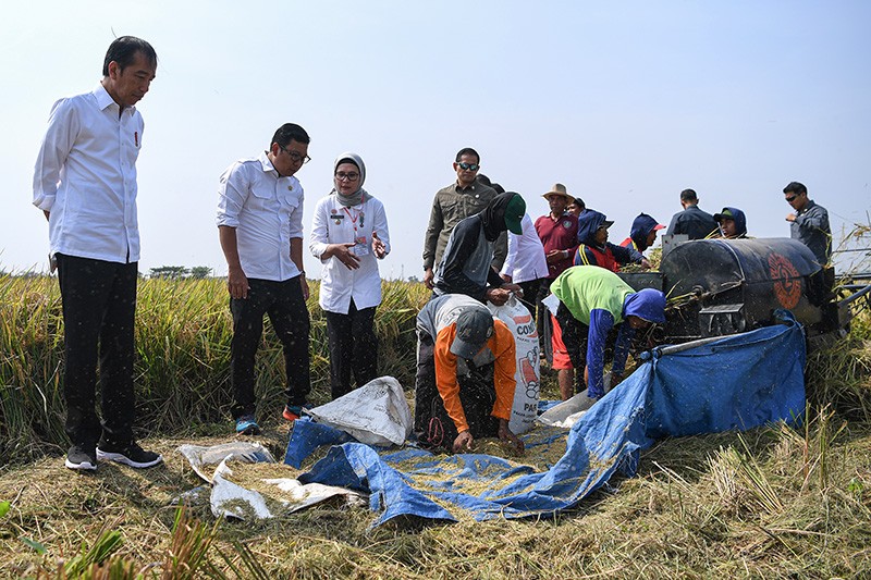 Presiden Jokowi Tinjau Petani Panen Padi di Indramayu - Bagian 1