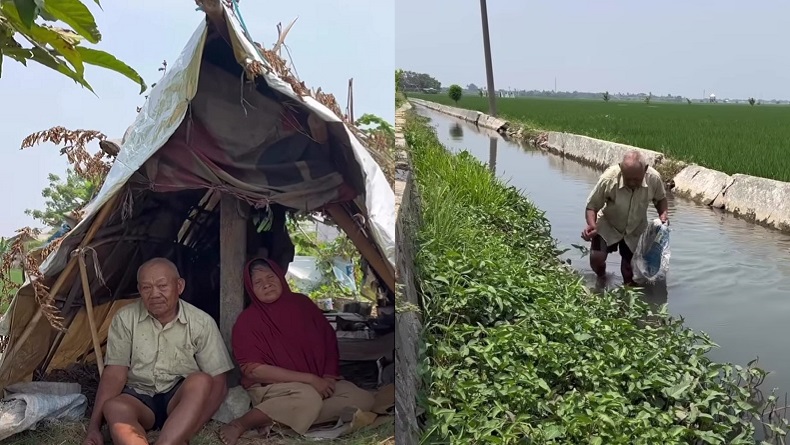 Kisah Pilu Pasutri Lansia di Karawang, Tinggal dalam Tenda Terpal Dekat Saluran Irigasi