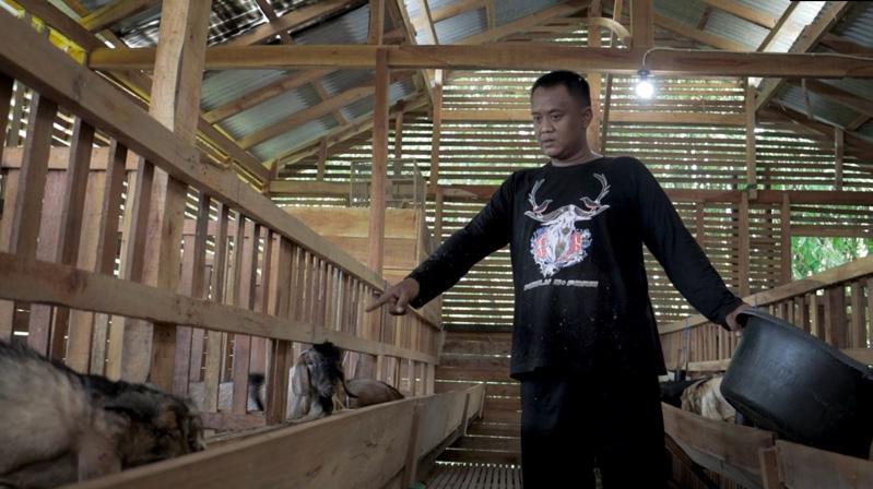  Kisah Polisi di Pemalang Ternak Kambing Perah, Hasil Produksinya Diburu Pabrik Ternama