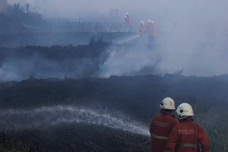 Kebakaran Lahan Kosong di Surabaya, 8 Mobil Damkar Dikerahkan - Bagian 2