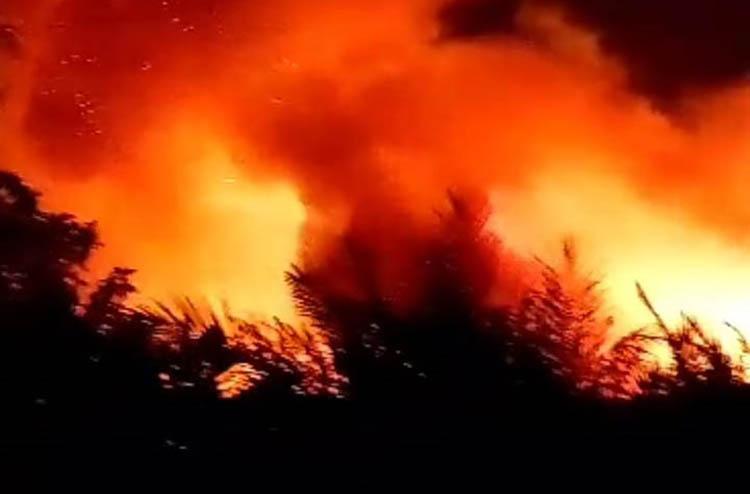 Bukit Gathak Terbakar, Warga Ponjong Gunungkidul Kalang Kabut Padamkam Api