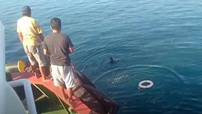 title Penumpang Kapal Lompat ke Laut usai Dengar Suara Minta Tolong, Ternyata Tak Ada Orang Penumpang Kapal Lompat ke Laut usai Dengar Suara Minta Tolong, Ternyata Tak Ada Orang