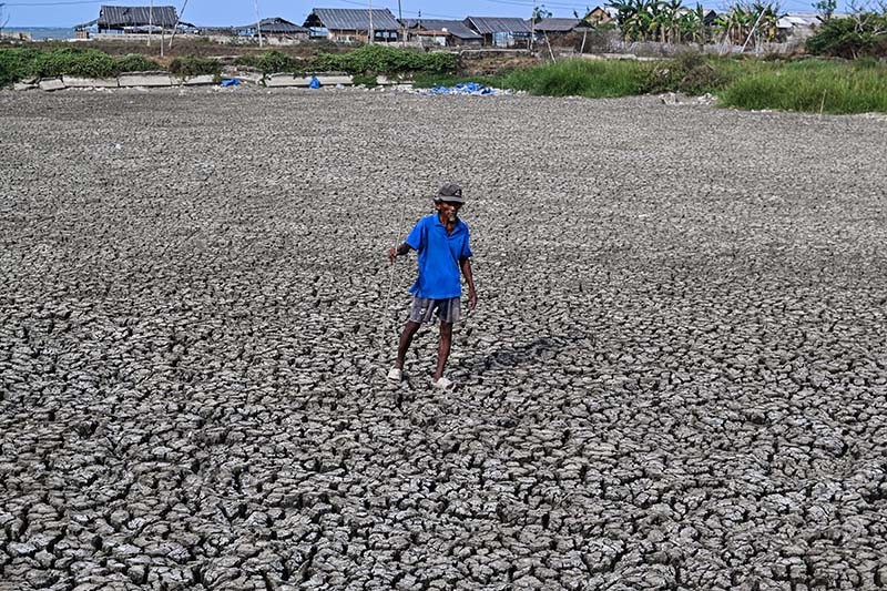 Kekeringan, 3 Hektare Tambak Ikan Gagal Panen di Tangerang - Bagian 2