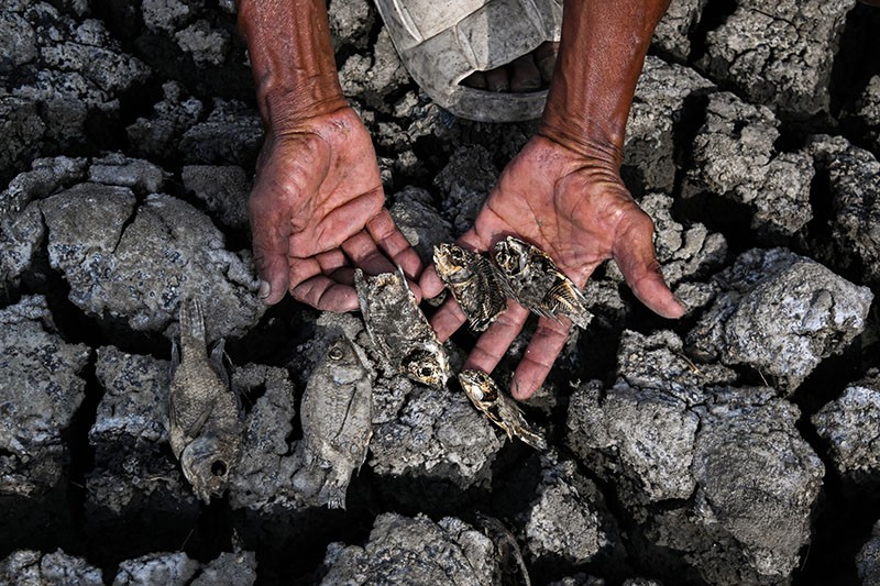 Kekeringan, 3 Hektare Tambak Ikan Gagal Panen di Tangerang - Bagian 1