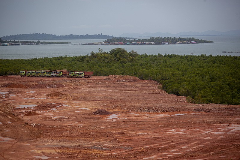 50 Persen Hutan Mangrove Pulau Batam Rusak - Bagian 1
