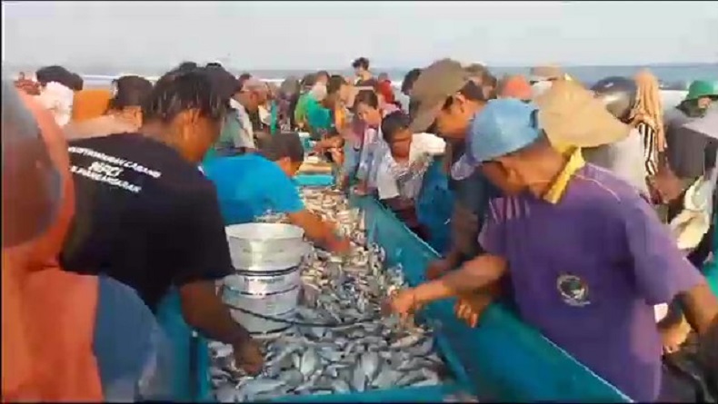 title Lagi, Nelayan Pangandaran Ketiban Rezeki Nomplok, Sekali Jaring Dapat Ikan Berlimpah Lagi, Nelayan Pangandaran Ketiban Rezeki Nomplok, Sekali Jaring Dapat Ikan Berlimpah