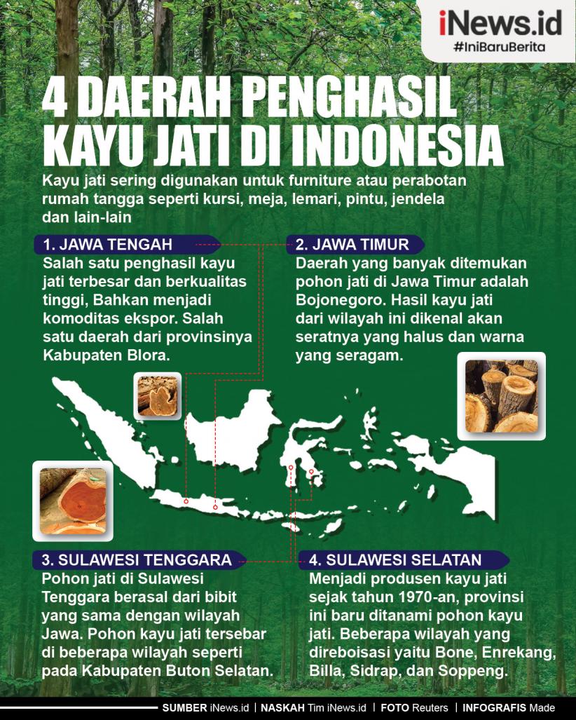 Infografis 4 Daerah Penghasil Kayu Jati di Indonesia