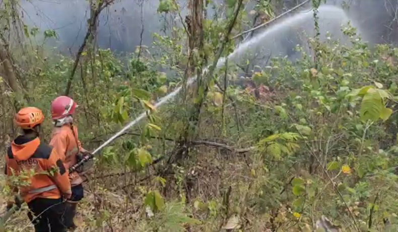 Lereng Gunung Klotok di Kediri Terbakar, Diduga karena Aktivitas Warga