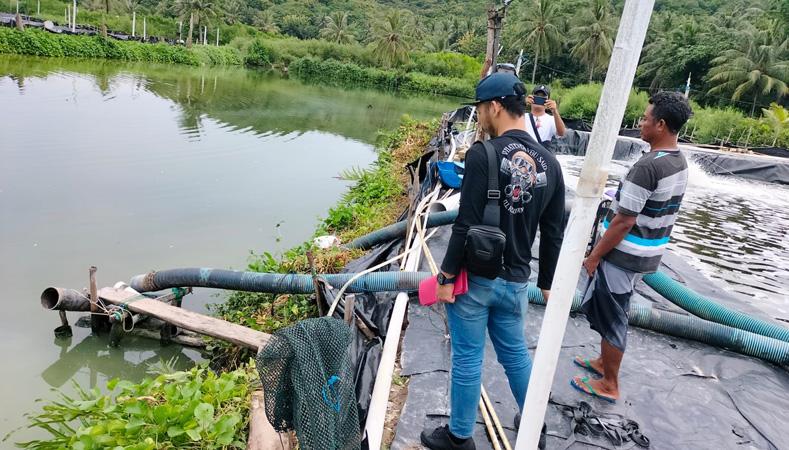 Polda Jateng Selidiki Dugaan Pencemaran Lingkungan akibat Tambak Udang di Karimunjawa