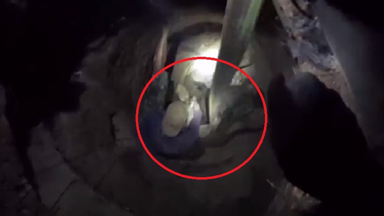 Evakuasi Dramatis Kerbau Jatuh ke Sumur Tua di Bukittinggi, Pemilik Ikut Terjun 