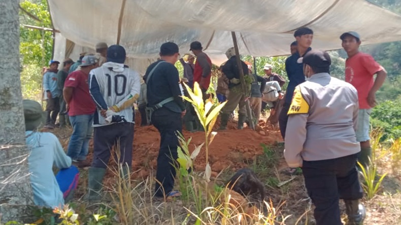 Wanita Paruh Baya di Talegong Garut Tewas Tertimpa Dahan usai Petik Biji Kopi