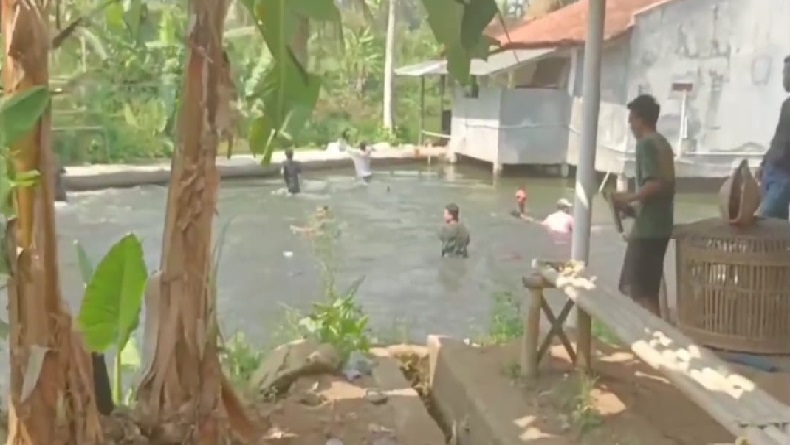 Belasan Penjudi Sabung Ayam di Tasikmalaya Kocar Kacir Nyebur Kolam Ikan saat Digerebek Polisi