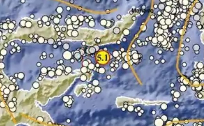 Gempa Terkini M5,1 Guncang Sulut, Terasa hingga Luwuk