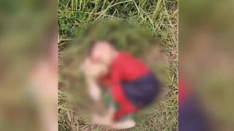 title Sampit Gempar, Balita Gizi Buruk Dibuang di Semak-Semak, Nangis Panggil Ibu dan Ayah Sampit Gempar, Balita Gizi Buruk Dibuang di Semak-Semak, Nangis Panggil Ibu dan Ayah