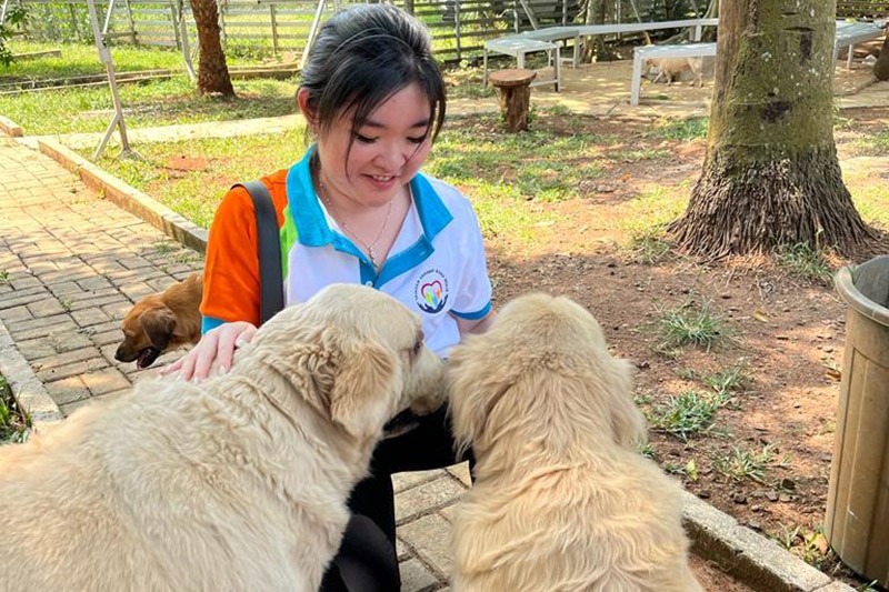 Yayasan Sahabat Kasih Mulia Ajak Masyarakat Peduli Hewan Terlantar - Bagian 2