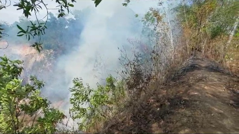 title Lubang Tambang Batubara di Tanah Laut Kalsel Terbakar, Warga Ngungsi Lubang Tambang Batubara di Tanah Laut Kalsel Terbakar, Warga Ngungsi