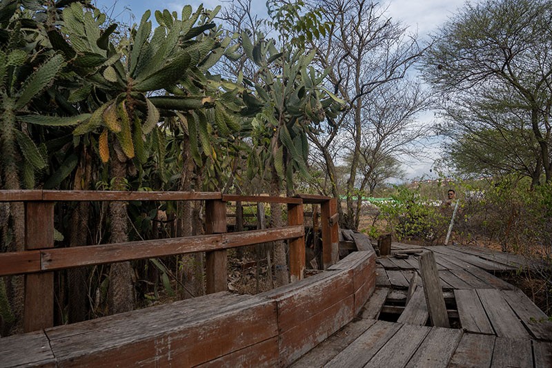 Fasilitas Taman Kaktus Palu Rusak Tidak Terurus - Bagian 1