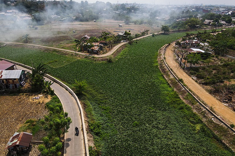Eceng Gondok Tutup Kanal di Makassar - Bagian 2