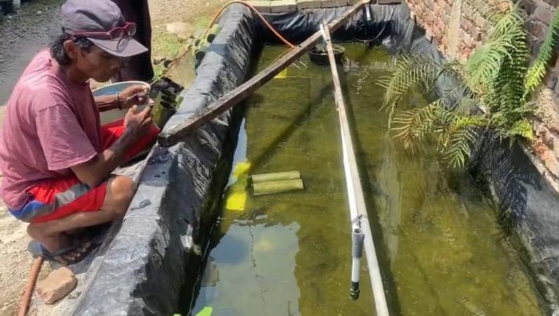 title Budi Daya Lobster di Lahan Sempit, Warga Banjarnegara Raup Omzet Jutaan Rupiah per Bulan Budi Daya Lobster di Lahan Sempit, Warga Banjarnegara Raup Omzet Jutaan Rupiah per Bulan