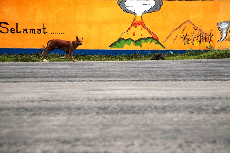 Gunung Dokuno Erupsi, Abu Vulkanik Menyelimuti Permukiman di Halmahera Utara - Bagian 2