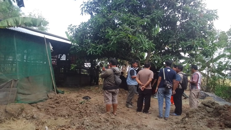 Indramayu Geger, 6 Sapi Kejang-kejang dan Keluarkan Busa lalu Mati