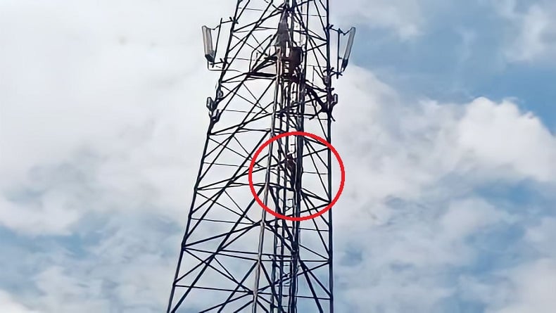 Aksi Heroik Anggota TNI di Kendari Gagalkan Percobaan Bunuh Diri Siswa SMA yang Panjat Tower