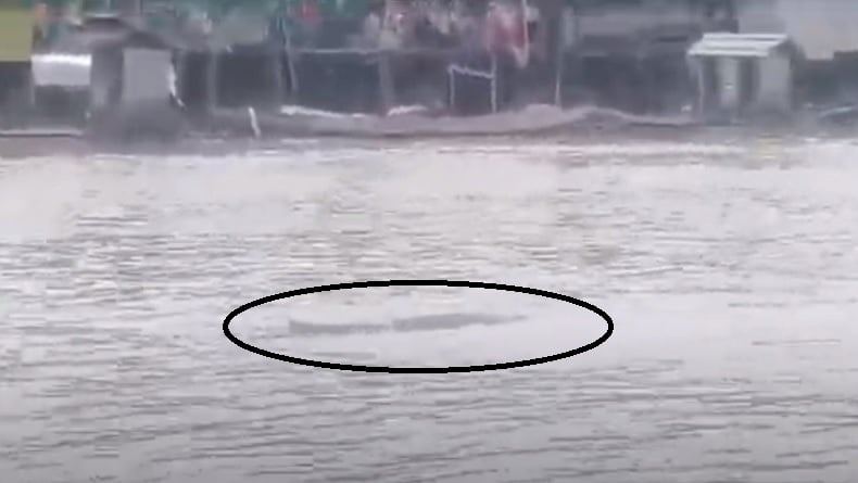 Kronologi Bocah Mandi di Sungai Arut Tiba-Tiba Diterkam Buaya, Langsung Ditarik ke Tengah
