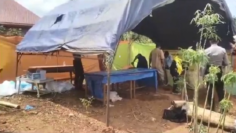 title Makam Pelajar SMA di Muna Diduga Tewas Tak Wajar Dibongkar, Keluarga Curiga Korban Hamil Diperkosa Makam Pelajar SMA di Muna Diduga Tewas Tak Wajar Dibongkar, Keluarga Curiga Korban Hamil Diperkosa