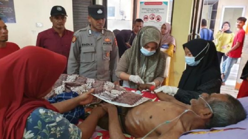 Petani di Pidie Diamuk Gajah Liar, sempat Dibawa sampai 30 Meter