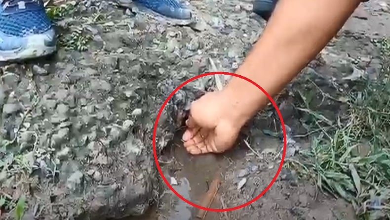 Heboh Kemunculan Sumber Air Misterius di Depan Rumah Warga Blora, Pemilik Malah Takut