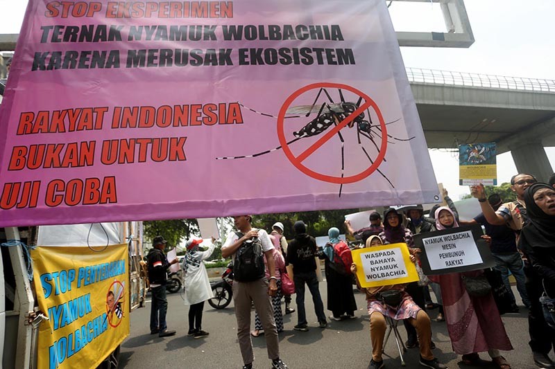 Aksi Tolak Penyebaran 200 Juta Nyamuk Wolbachia - Bagian 3
