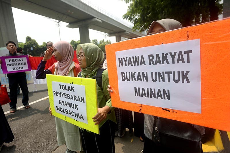 Aksi Tolak Penyebaran 200 Juta Nyamuk Wolbachia - Bagian 2