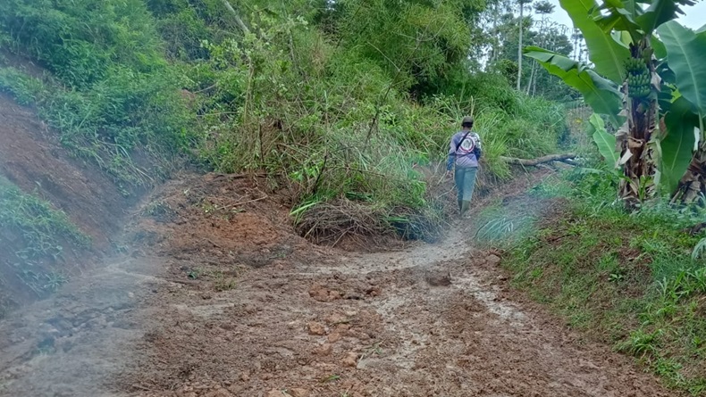 Longsor Terjang Cililin KBB, Jalan Kabupaten Putus dan 15 Rumah Rusak