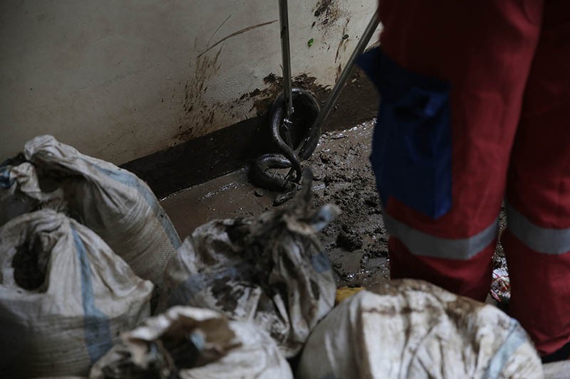 Damkar Tangkap Ular dari Rumah Warga yang Kebanjiran - Bagian 3