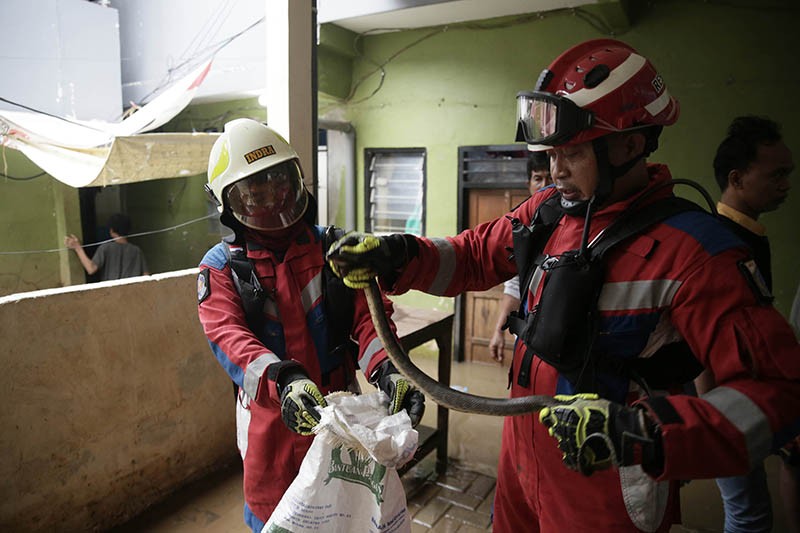 Damkar Tangkap Ular dari Rumah Warga yang Kebanjiran - Bagian 1