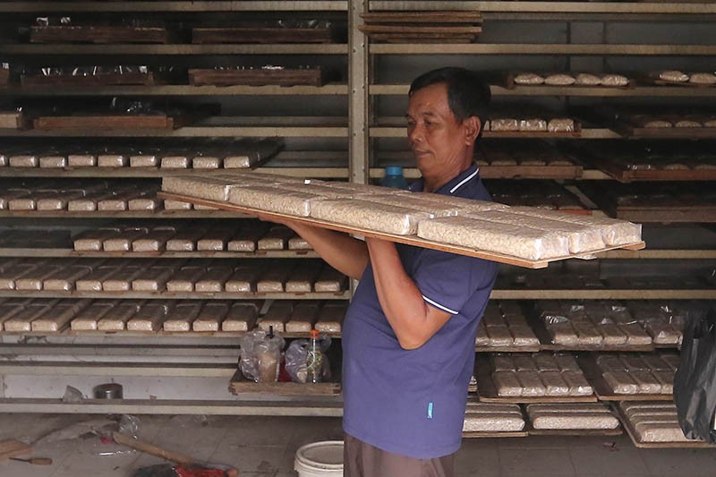 Pemerintah Bakal Terapkan Tarif Normal Pajak Penghasilan UMKM di 2024 - Bagian 3