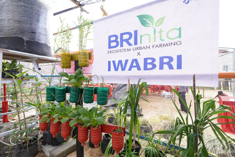 Inspiratif! Warga Tuminting Ubah Lahan Timbunan Sampah Jadi Urban Farming BRInita