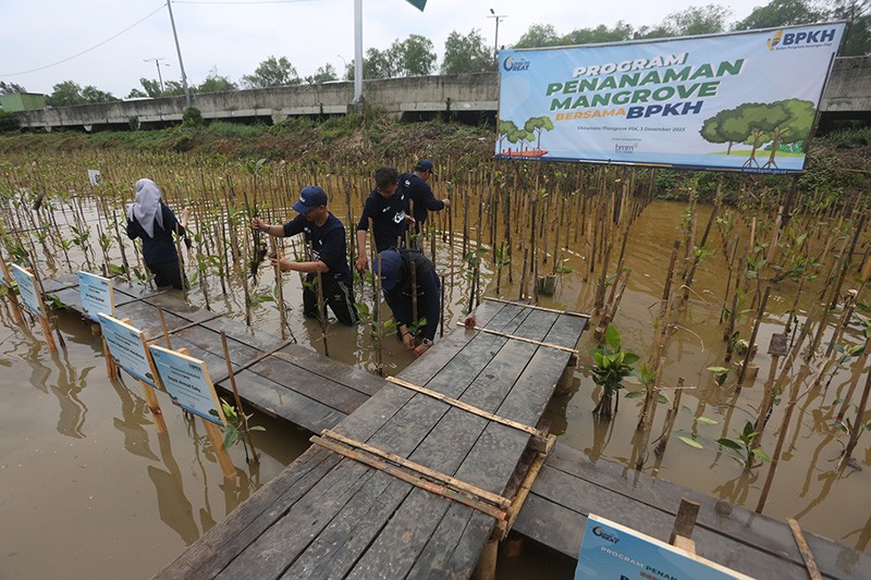 Sambut Hari Pohon Sedunia, BPKH Tanam Ratusan Mangrove - Bagian 3