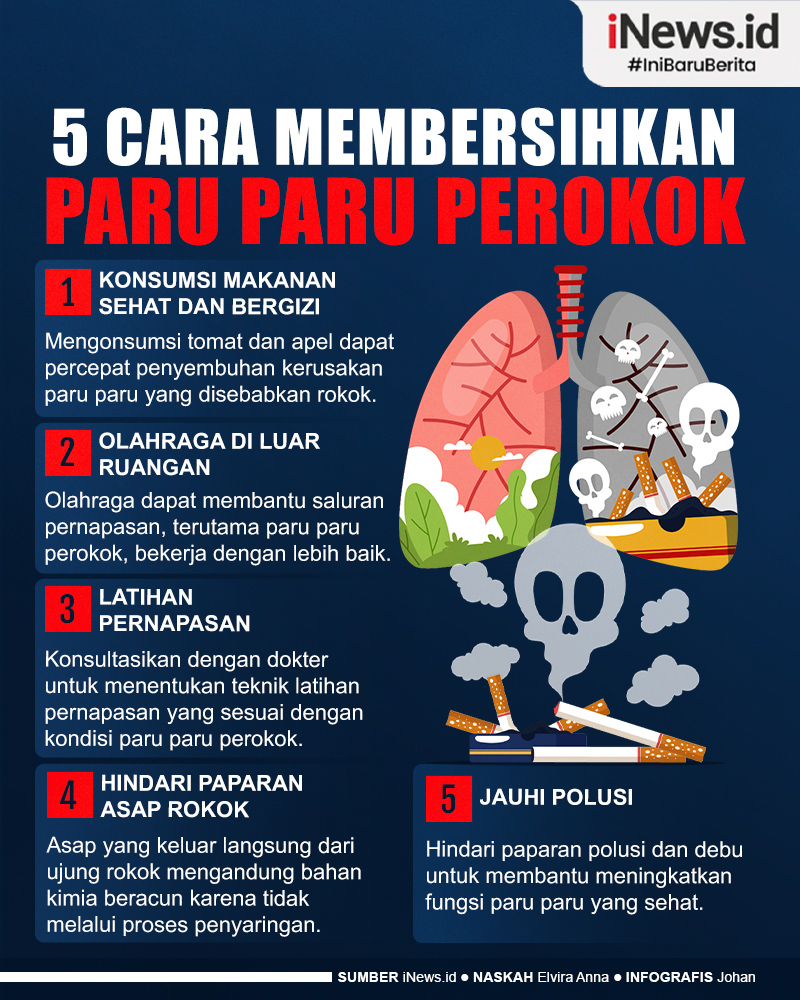 Infografis 5 Cara Membersihkan Paru Paru Perokok
