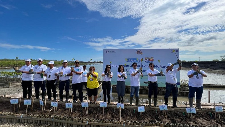 BritAma Tanam 30.000 Mangrove di Benoa Bali, Jaga Ekosistem Pesisir dan Kelestarian Bumi