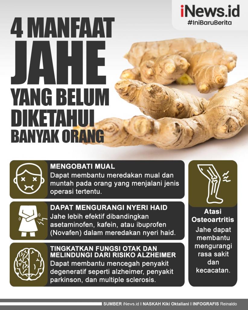Infografis 4 Manfaat Jahe yang Belum Diketahui Banyak Orang
