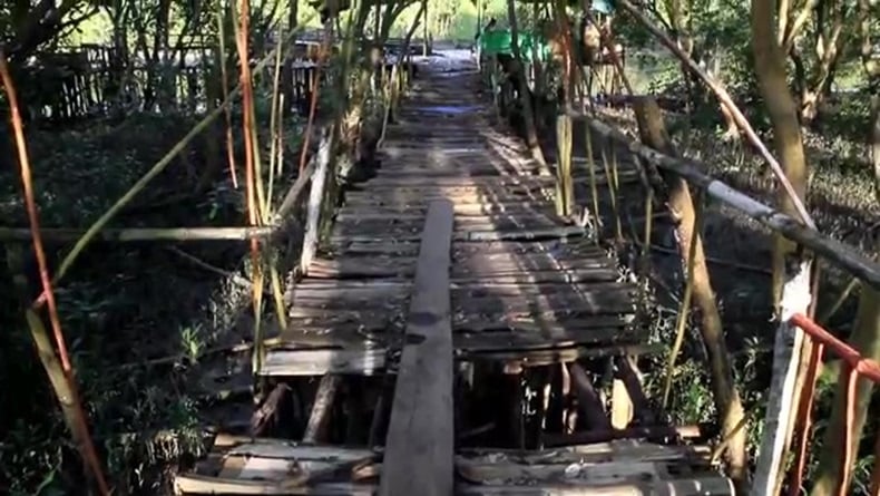 title Objek Wisata Mangrove Singkawang Telantar, Fasilitas Rusak Tak Diperbaiki Objek Wisata Mangrove Singkawang Telantar, Fasilitas Rusak Tak Diperbaiki