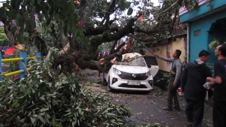 Hujan Deras Disertai Angin Kencang Landa Bandung, Pohon Besar Tumbang Timpa Mobil