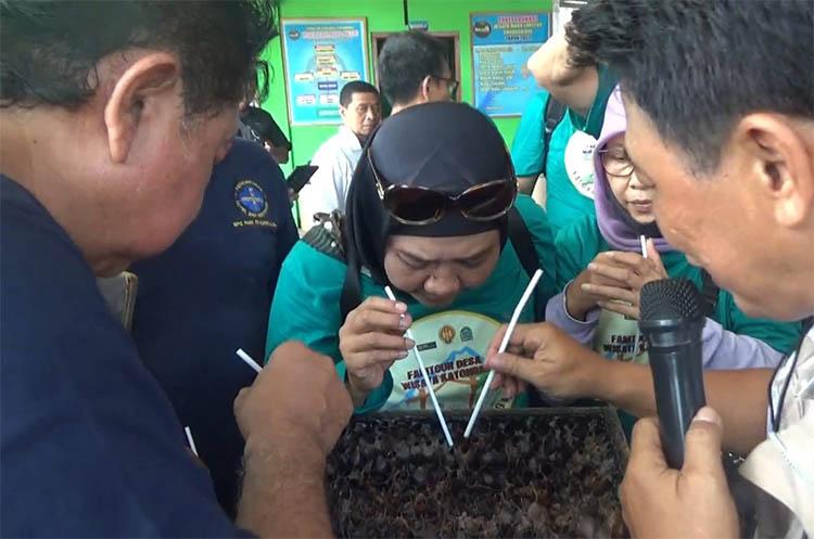 title Unik, Warga Gunungkidul Kembangkan Wisata Sedot Madu Langsung dari Sarangnya Unik, Warga Gunungkidul Kembangkan Wisata Sedot Madu Langsung dari Sarangnya