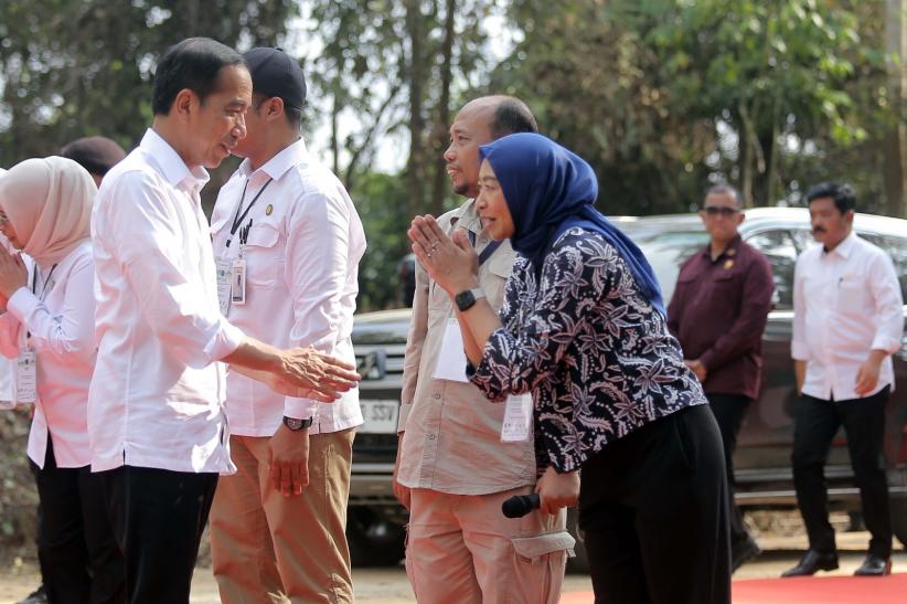Presiden Joko Widodo Kunjungi Pembangunan Miniatur Hutan Hujan Tropis di Ibu Kota Nusantara  - Bagian 3