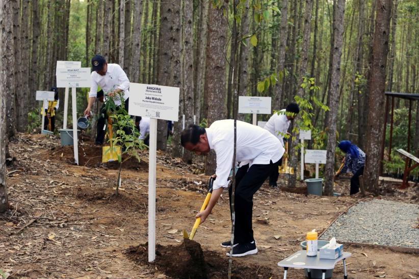 Presiden Joko Widodo Kunjungi Pembangunan Miniatur Hutan Hujan Tropis di Ibu Kota Nusantara  - Bagian 1