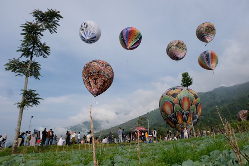 Warna-warni Balon Udara Tradisional Hiasi Langit Bukit Seroja Wonosobo - Bagian 1