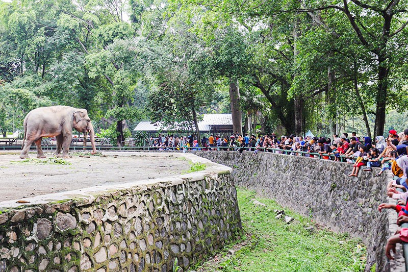 90.000 Orang Liburan di Taman Margasatwa Ragunan - Bagian 1